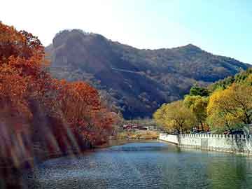 天天彩好彩天天免费，水蛭养殖基地